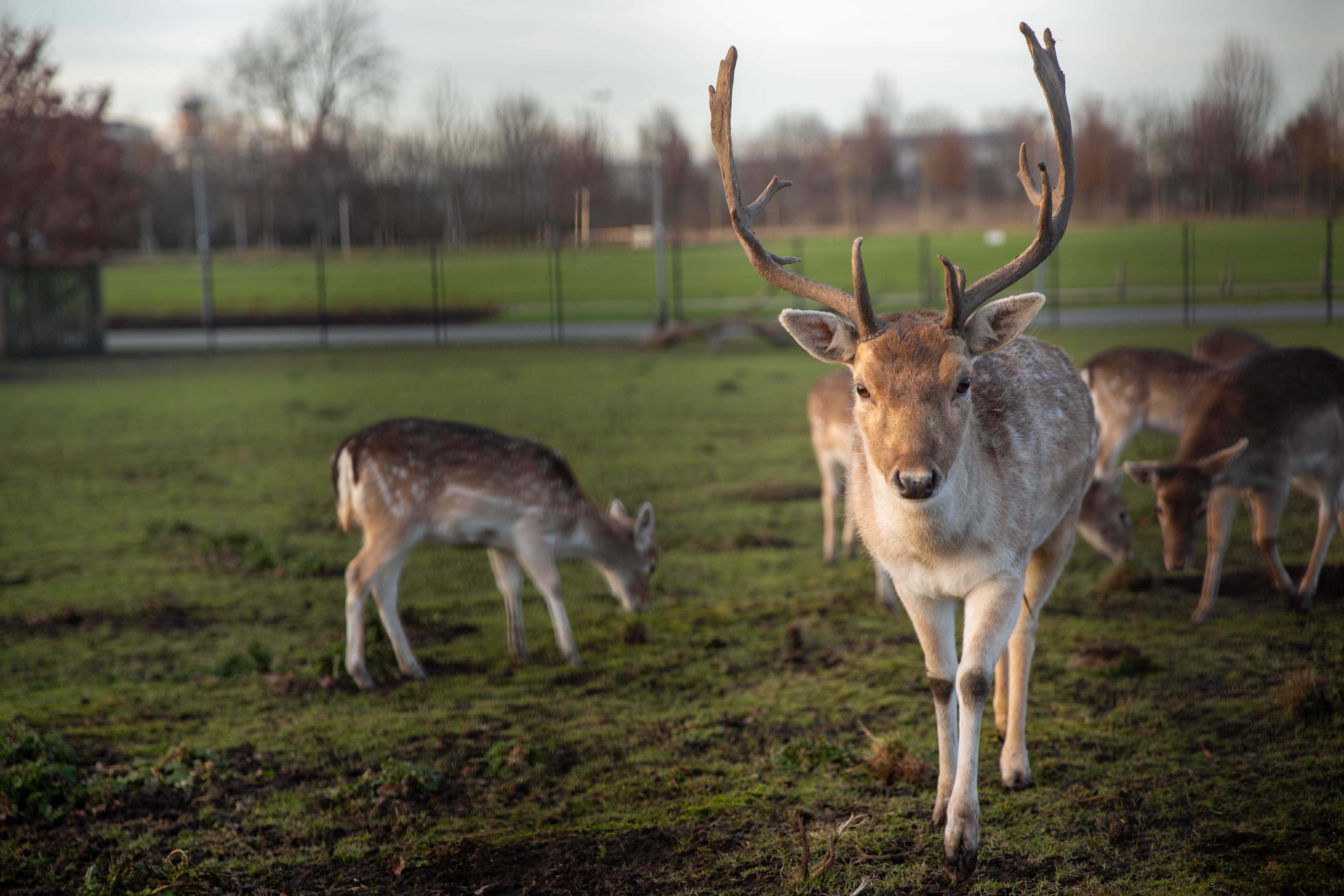 Project 16hoven ©Niels Braal Fotografie (1)-min